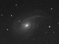 RASC Finest NGC 772 galaxy in luminance (BGO)