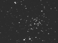 open cluster NGC 1907 in luminance