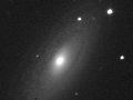 RASC Finest NGC 2841 galaxy in luminance (BGO)