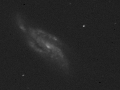 RASC Finest NGC 4088 galaxy in luminance (BGO)