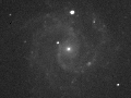 RASC Finest NGC 3184 in luminance (BGO)