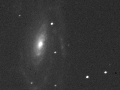 RASC Finest NGC 5033 in luminance (BGO)