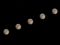 multiple Moons