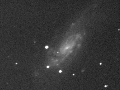 galaxy Caldwell 36 in luminance (BGO)