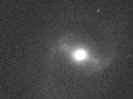 barred spiral Messier 91 in luminance (BGO)