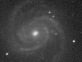 face-on Messier 100 in luminance (BGO)