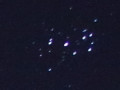 Pleiades from backyard (40D)