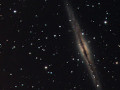 NGC 891 in colour